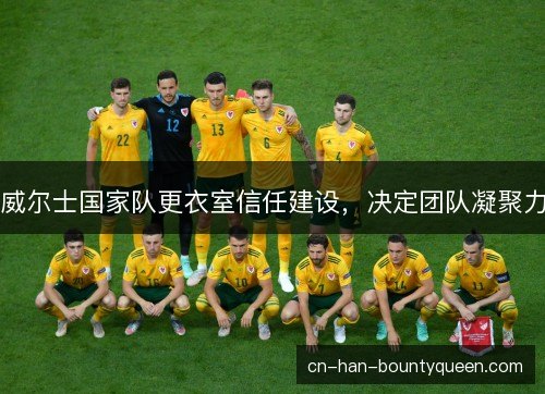 威尔士国家队更衣室信任建设，决定团队凝聚力